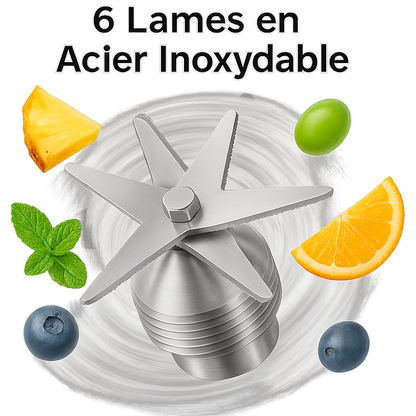 Blender Électrique Professionnel